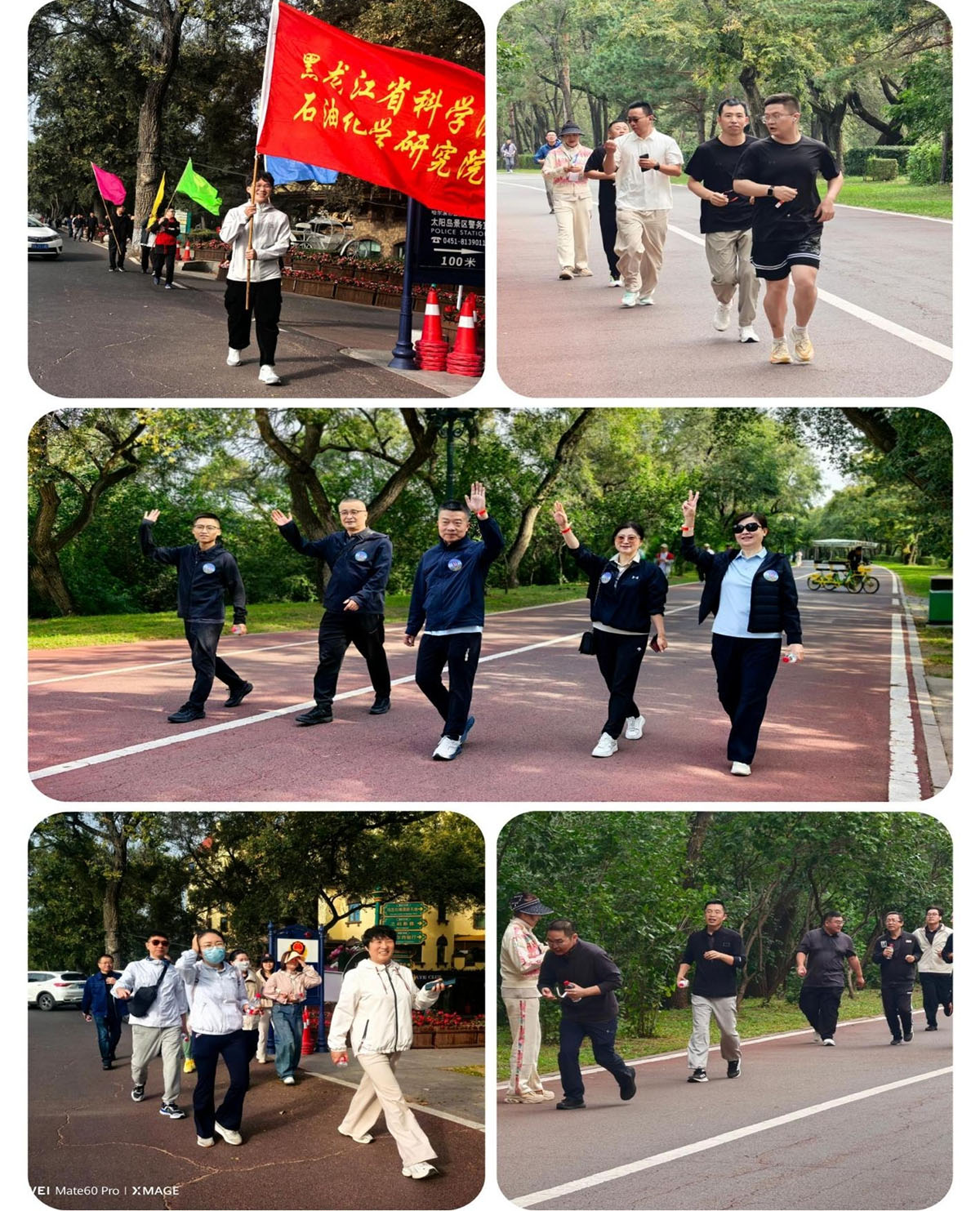 1200图片2.jpg